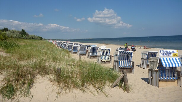Une plage bordée de rangées de chaises de plage rayées et un panneau indiquant « LOCATION DE CHAISES DE PLAGE ».
