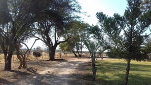 A dirt path leading through a park with various trees and a fenced area.