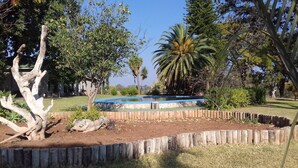 A backyard with a swimming pool, surrounded by a wooden fence, trees, and a grassy lawn.
