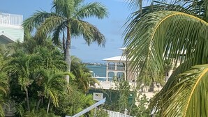 Un hotel frente al mar con valla blanca, palmeras y vistas al océano.