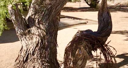 FALL SPECIALS: Cozy Farmhouse in the Desert mins from Troon, Mayo and WestWorld