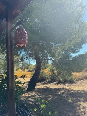Property grounds - SUMMER SPECIALS:Cozy Farmhouse in the Desert close to Troon, Mayo and WestWorld (Scottsdale)