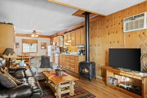 Smart TV, fireplace, DVD player, books