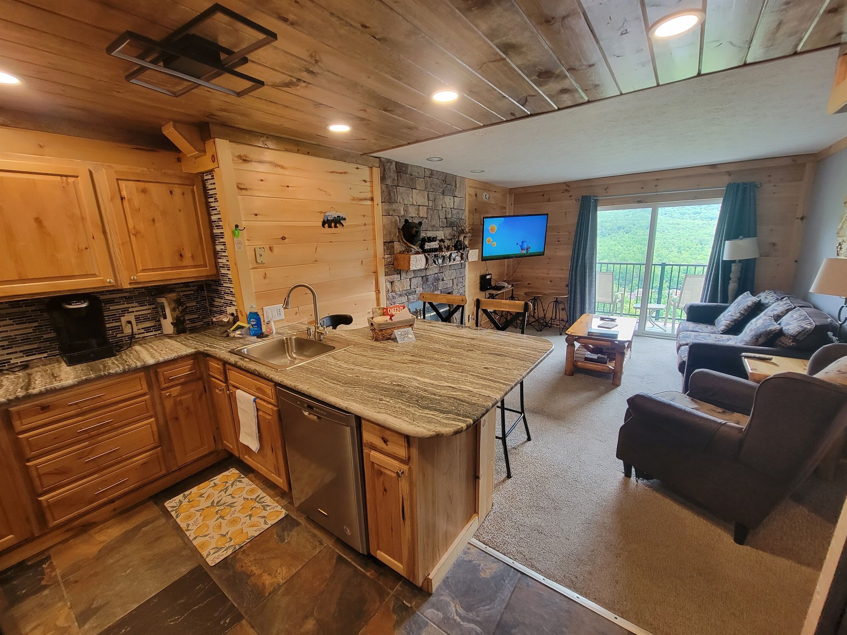 Smart TV, fireplace, books, stereo