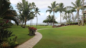 A well-maintained lawn with a stone pathway leading to a building, surrounded by palm trees and a view of the ocean. - Paradise found-Ocean Front 2 Bdr-Bath-Lanais—Primary bedroom faces ocean FULL AC (Kapaa)