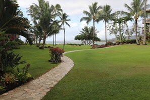 Àrea exterior de l'allotjament