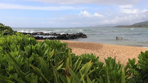A beach with rocky outcrops and green vegetation. - Paradise found-Ocean Front 2 Bdr-Bath-Lanais—Primary bedroom faces ocean FULL AC (Kapaa)