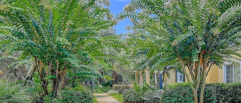 Terrein van de accommodatie