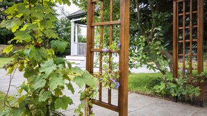 A wooden trellis with climbing plants and a white gazebo in the background.