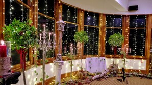 A room with large windows, string lights, and various plants.