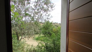 A doorway leading to a patio with a stone floor, surrounded by dense vegetation and trees.
