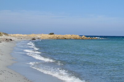 Cavalli di S'Arcaite