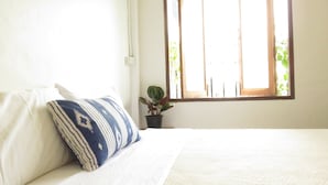 Een slaapkamer met een bed, een raam en een kamerplant.