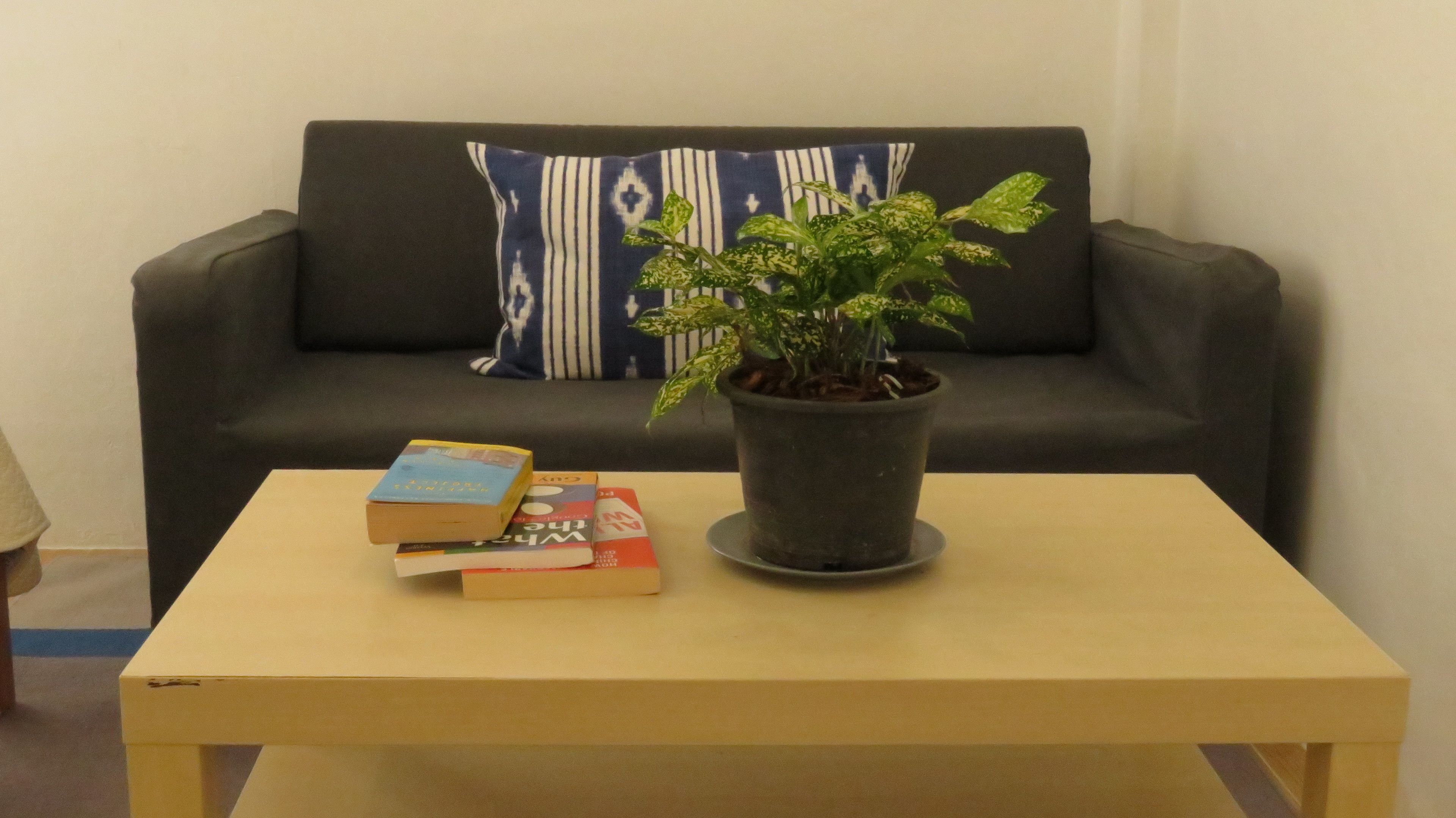 A small table with a potted plant and a stack of books in front of a grey sofa with a patterned cushion.