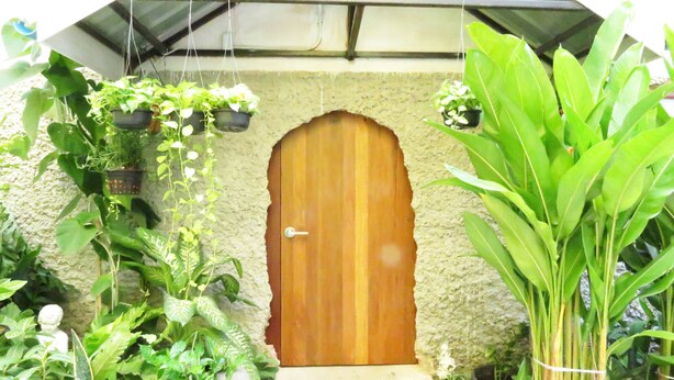 Een houten deur met een structuurwand, omringd door hangende plantenpotten.