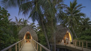 Une terrasse en bois mène à deux structures en forme de dôme, dotées d’un éclairage intérieur, et l’ensemble est entouré de palmiers.