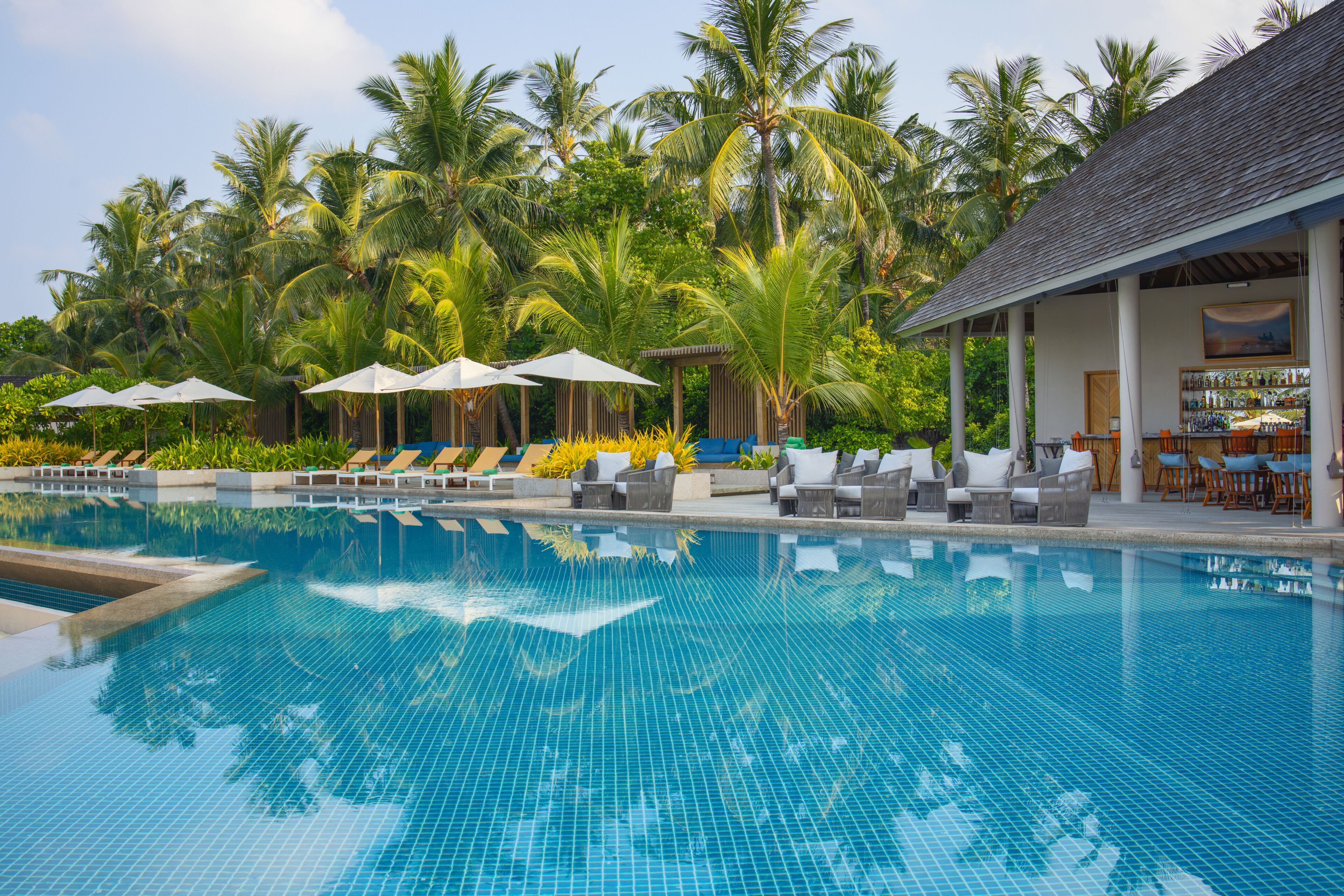 Outdoor pool, pool umbrellas, sun loungers