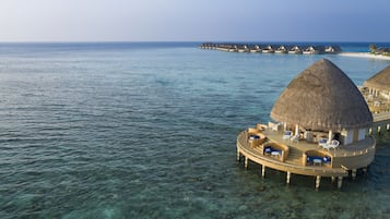 2 bares, bar junto a la piscina y bar en la playa
