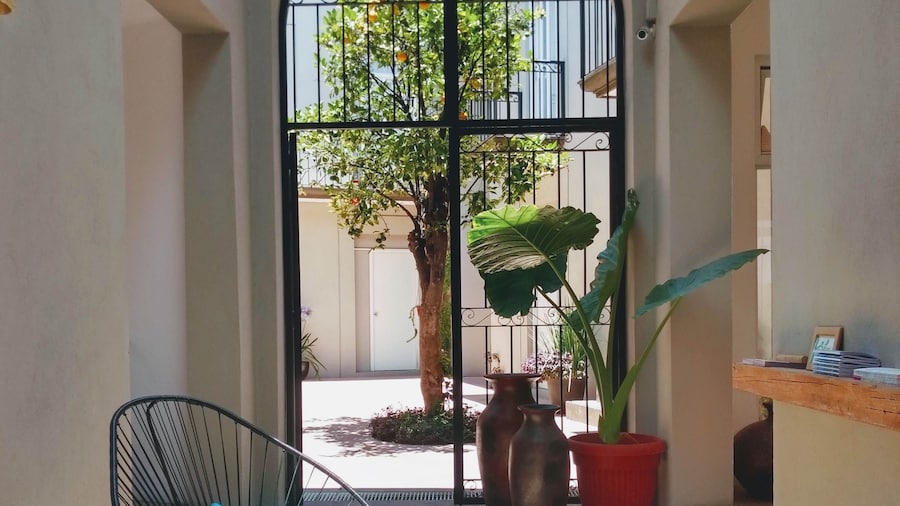 Hotel Mamá Carlota