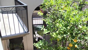 A balcony with a wrought iron railing, potted plants, and a lemon tree with ripe fruit. - Hotel Mamá Carlota (Querétaro)