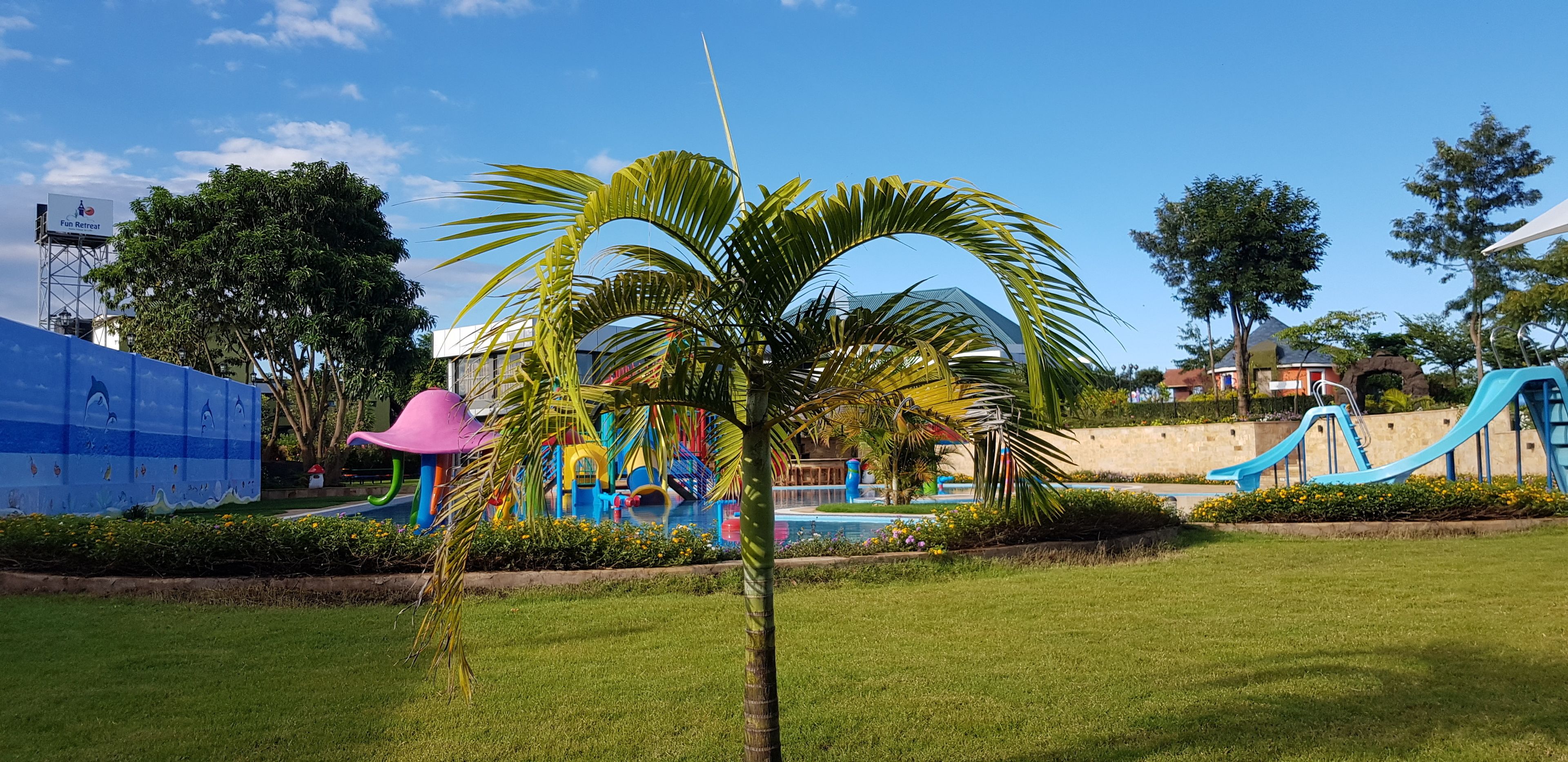 A playground with slides and a climbing structure, surrounded by grass and palm trees.