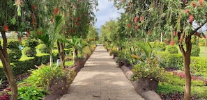 Garden view - Fun Retreat Resort, Hotel and Ayurveda Spa (Arusha)