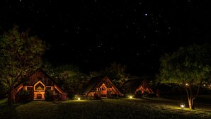 Three wooden cabins with thatched roofs, surrounded by trees and a starry night sky.
