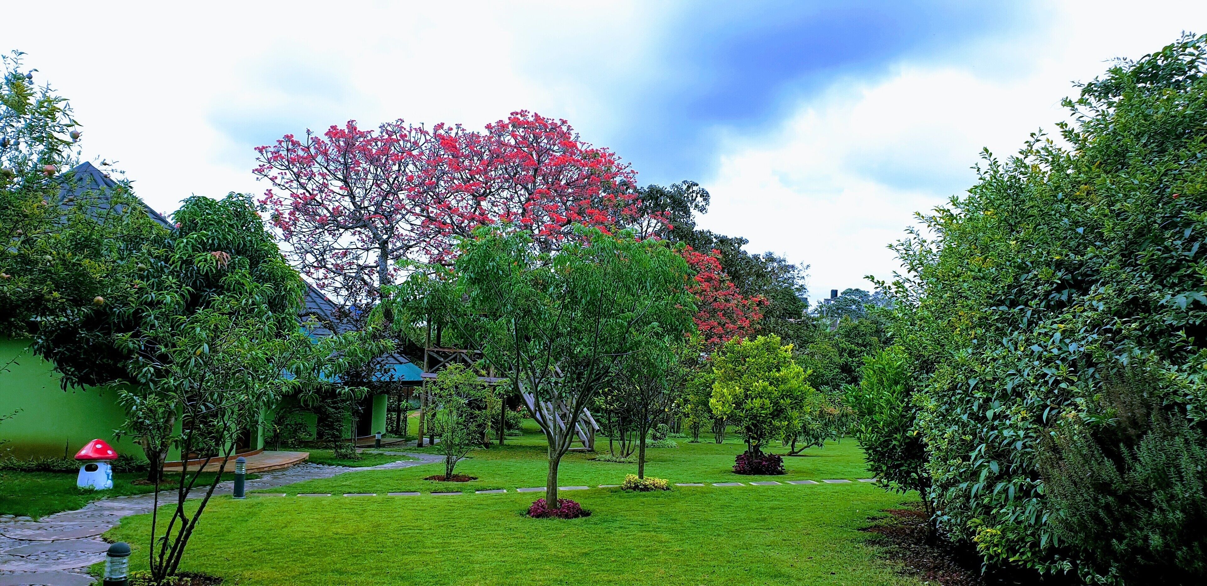 花園景