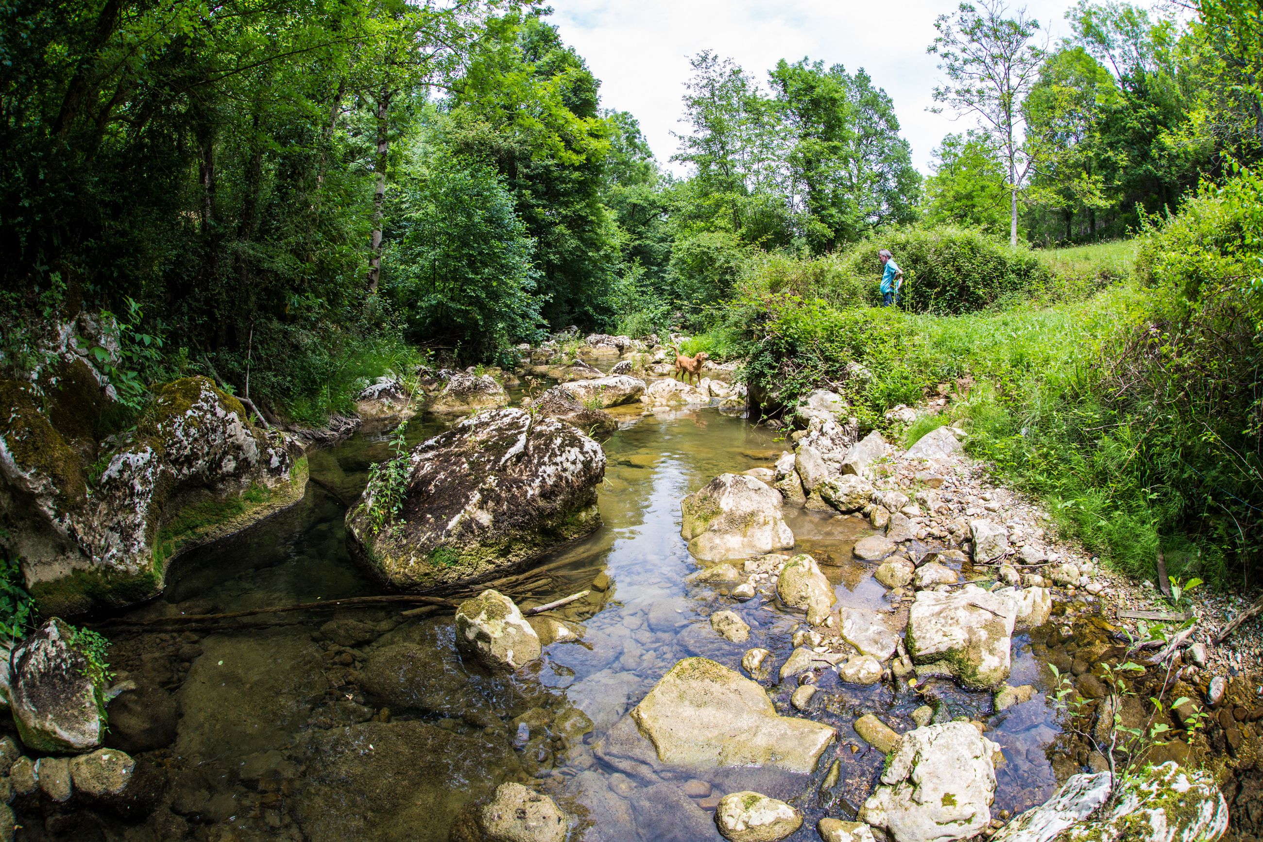 Tasik