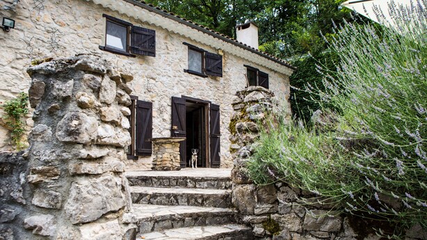 A stone building with a rustic exterior, a set of stone steps leading to a door, and a dog standing at the entrance. - Moulin d'Entre Les Roches (Puivert)