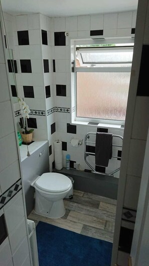 シャワー、ヘアドライヤー、タオル、トイレットペーパー