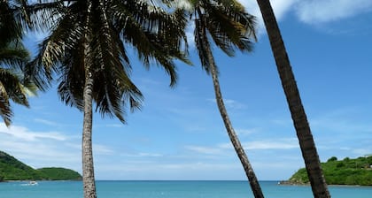 Eco Cabin in remote Caribbean Woodlands