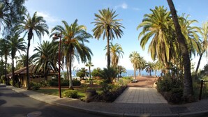 A paved pathway lined with palm trees and a building with a tiled roof. - Incredible Relax Studio with Mountain Views and High Speed WIFI (Puerto de la Cruz)