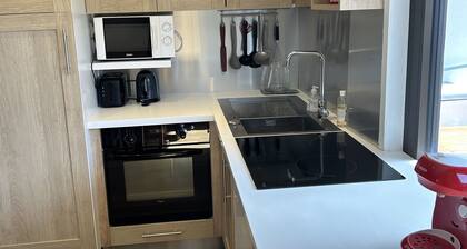 APPARTEMENT DE 40 M2 EXPOSE PLEIN SUD ET AUX PIEDS DES PISTES
