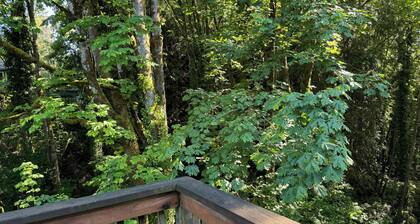 Cozy step-free house - walk to ferry and downtown waterfront