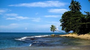 A beach with clear blue water, a sandy shore, and palm trees. - Boricua Apartments (Rincon)