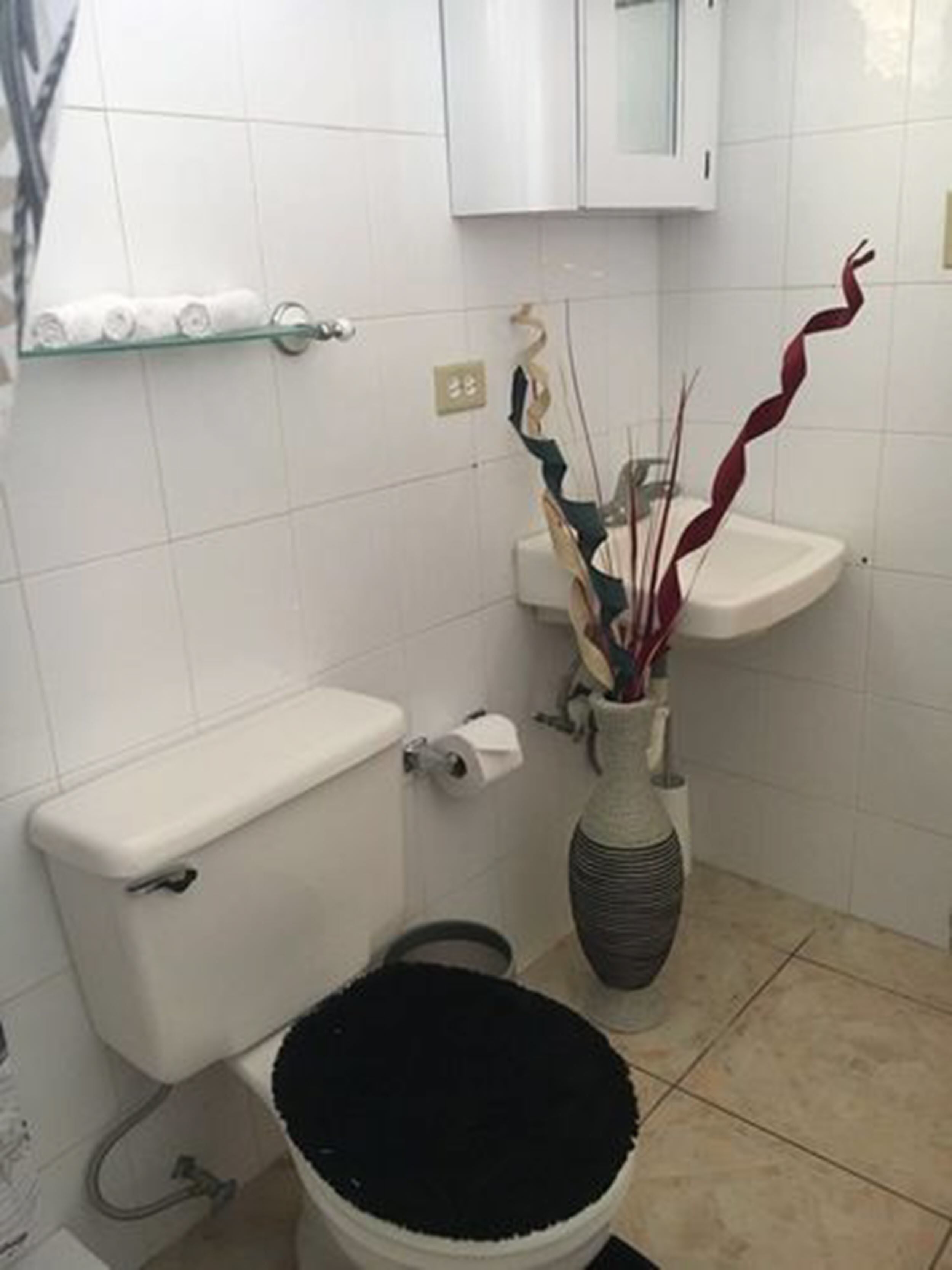 Une salle de bain équipée de toilettes, d’un lavabo et d’un vase décoratif.