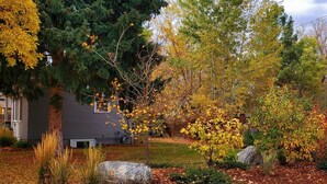 A house surrounded by autumn foliage, with a rock garden and a pathway leading to the entrance. - Stunningly Remodeled Historic Home Near Downtown (Bozeman)