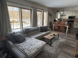 Smart TV, fireplace, DVD player, books