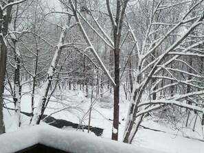 Unclassified image, 3 of 27, button