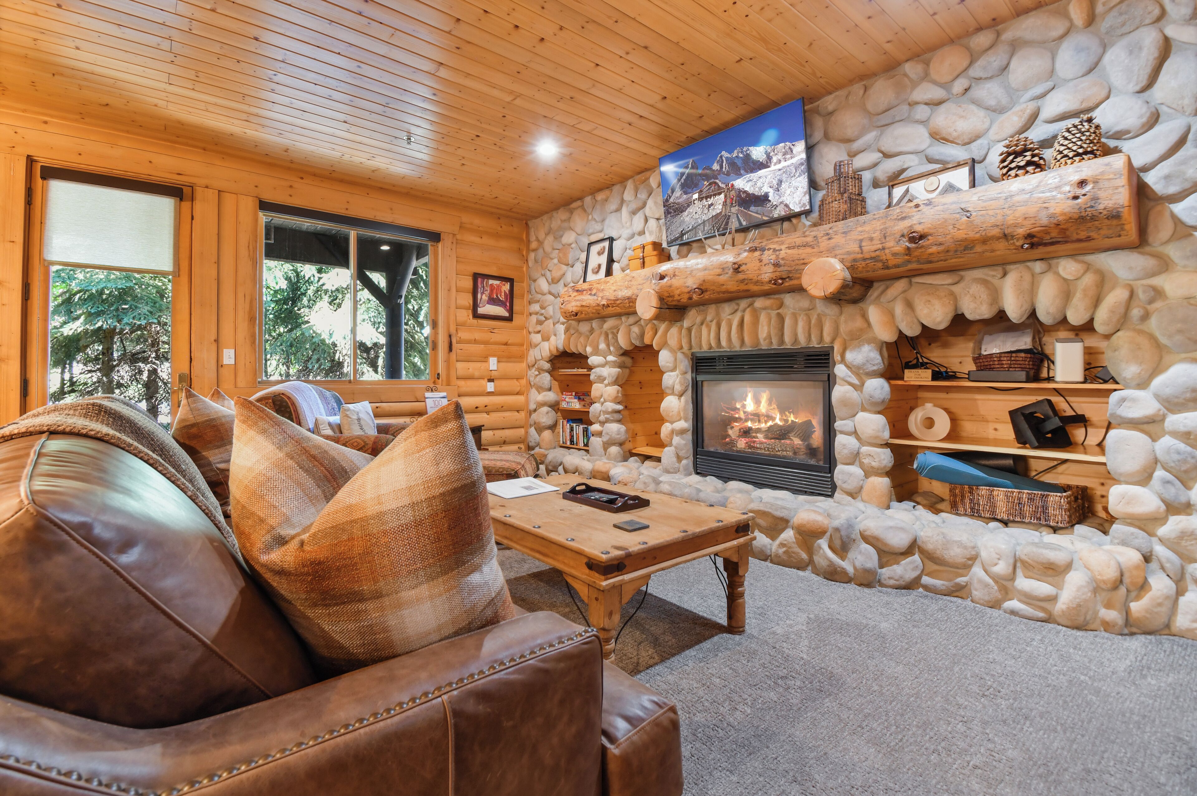 Smart TV, chimenea y libros 