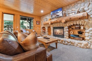 Smart TV, fireplace, books