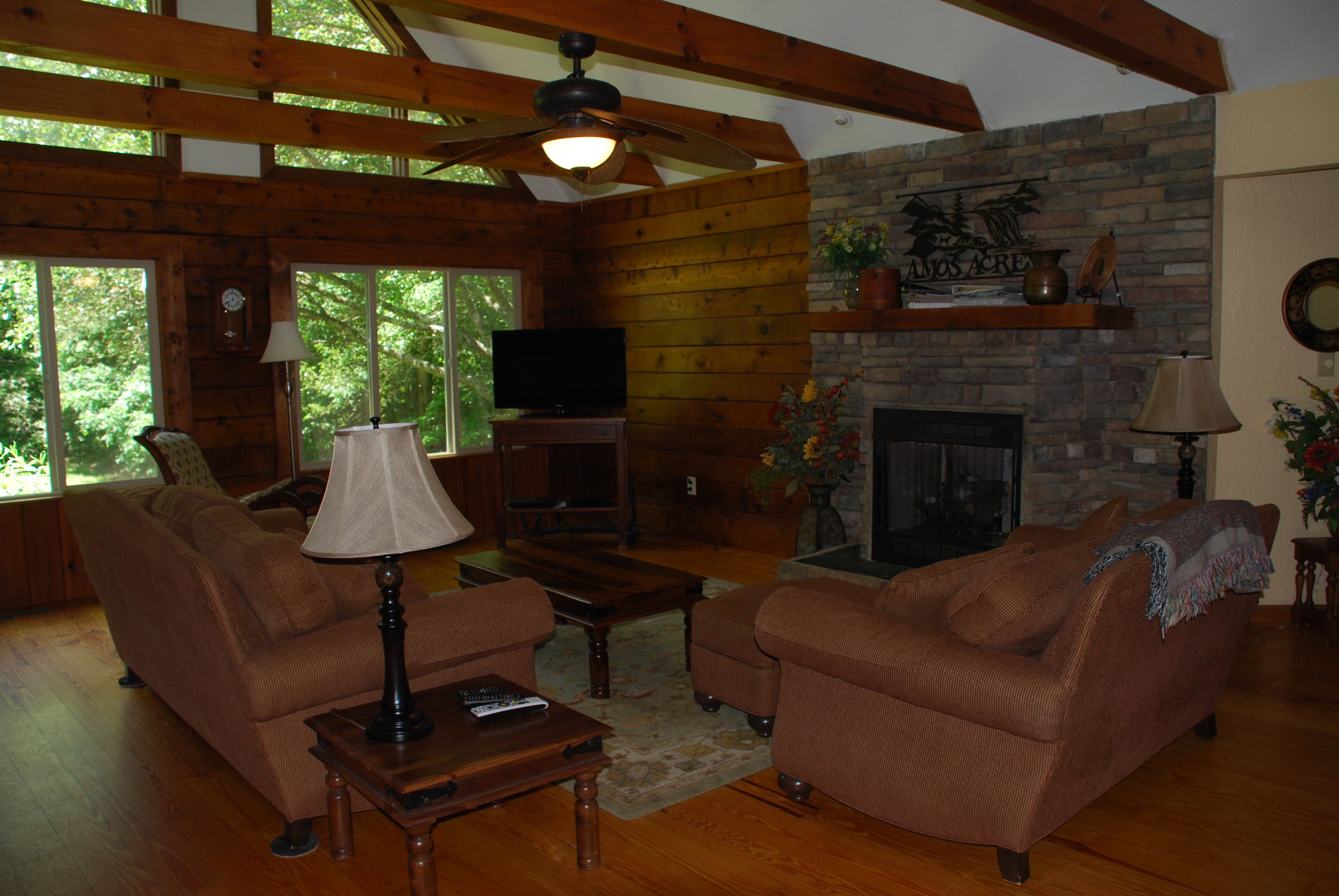 Smart TV, chimenea, reproductor de DVD y libros 