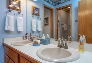 Combined shower/tub, hair dryer