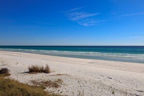 بالقرب من الشاطئ