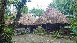 A courtyard with thatched-roof huts, stone flooring, and lush greenery. - Cohune Palms River Cabanas (San Ignacio)