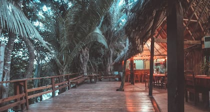 Cohune Palms River Cabanas