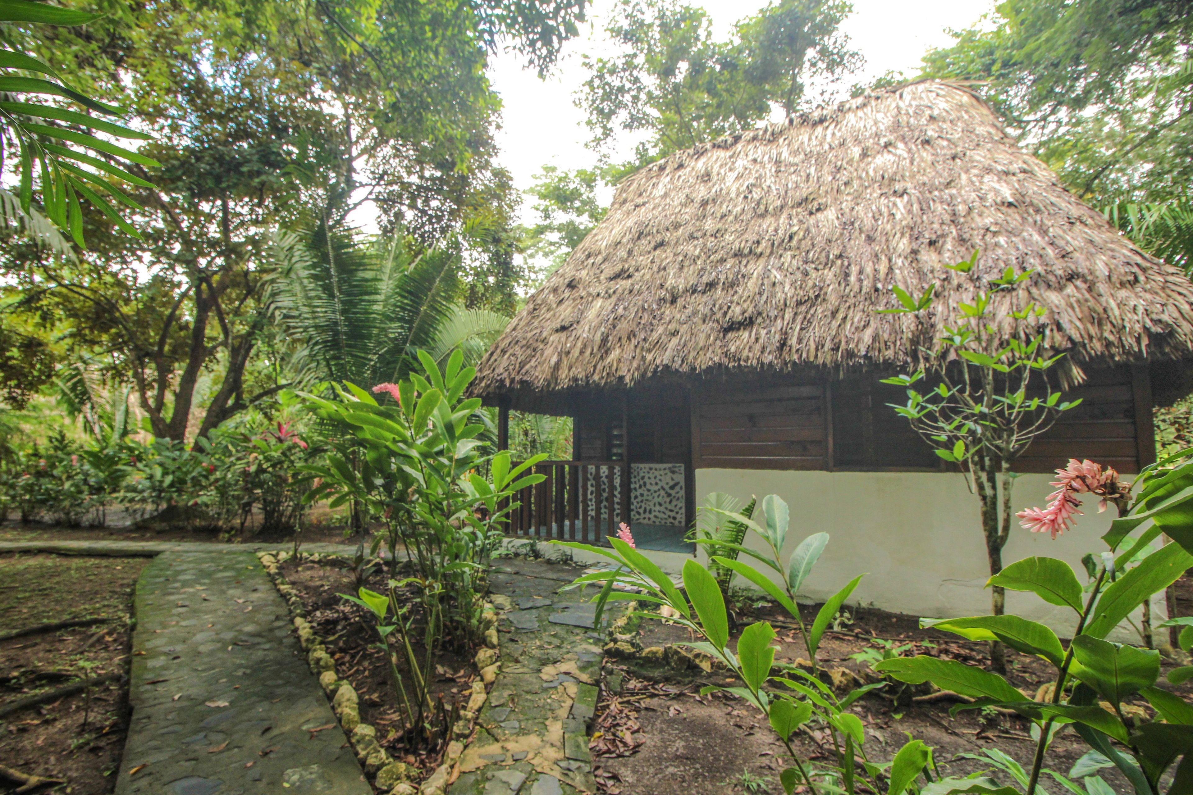 A thatched-roof hut surrounded by lush greenery and a stone pathway.