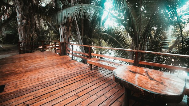 A wooden deck with benches and a table, surrounded by palm trees. - Cohune Palms River Cabanas (San Ignacio)