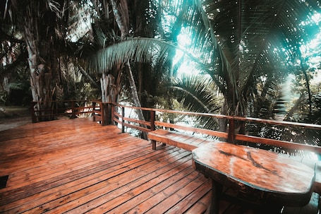 Property grounds. Cohune Palms River Cabanas